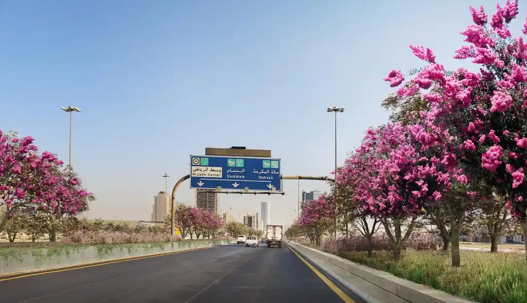 طريق رئيسي في الرياض تحيط به أشجار مزهرة ولوحات إرشادية مرورية، مع حركة سيارات منتظمة في أجواء نهارية صافية.